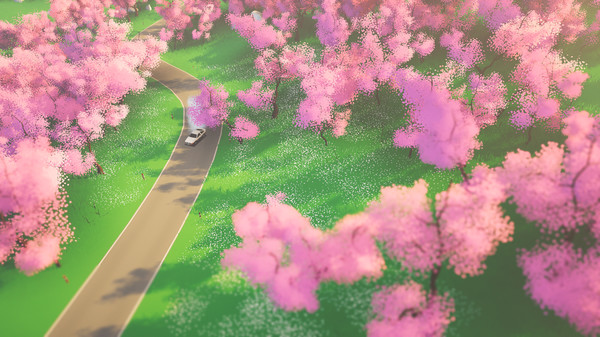 Art of Rally