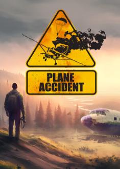 Купить Plane Accident