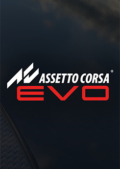 Купить Assetto Corsa EVO