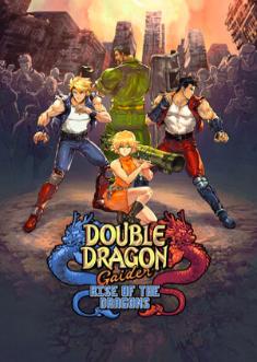 Купить Double Dragon Gaiden: Rise Of The Dragons