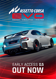 Купить Assetto Corsa EVO