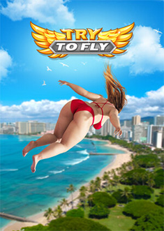 Купить Try to Fly