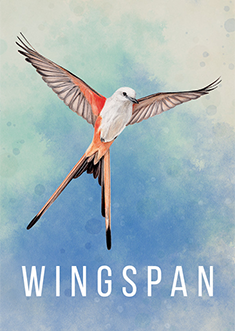 Купить Wingspan