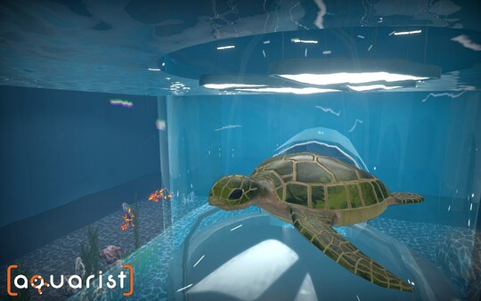 Aquarist