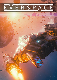 Купить EVERSPACE