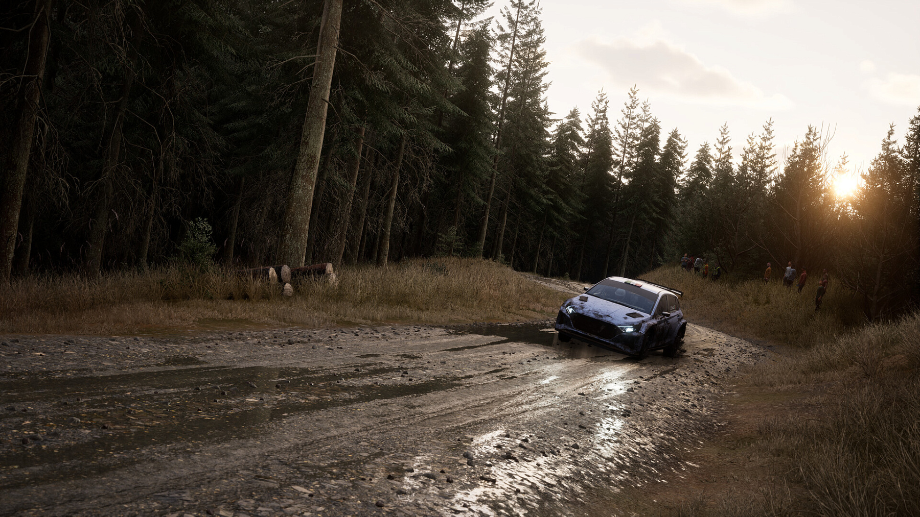 Assetto Corsa Rally