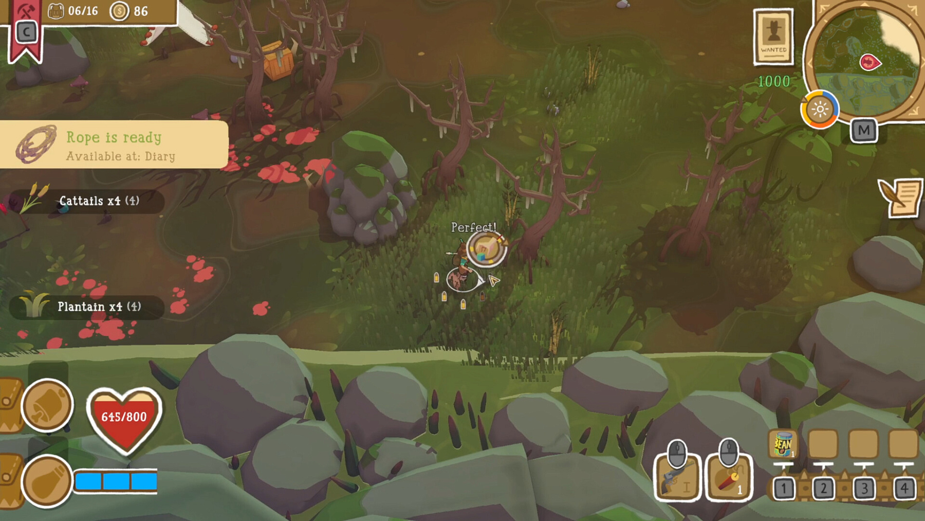 Dino Path Trail