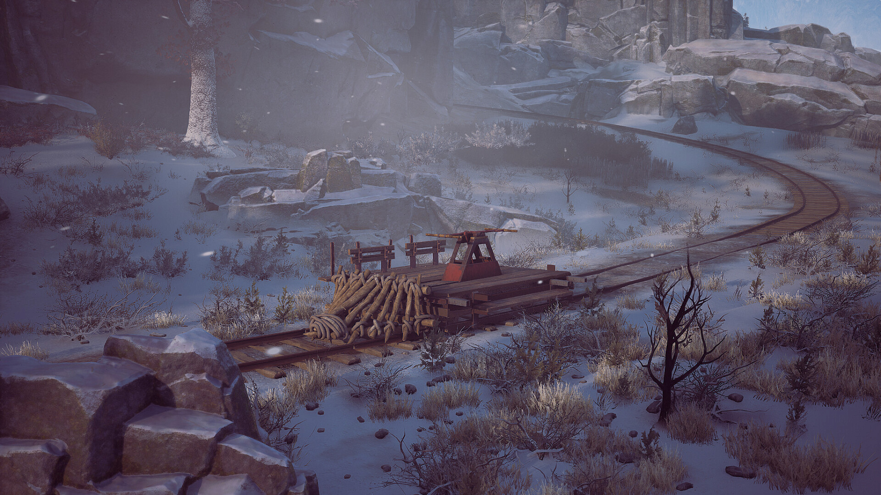 Winter Survival