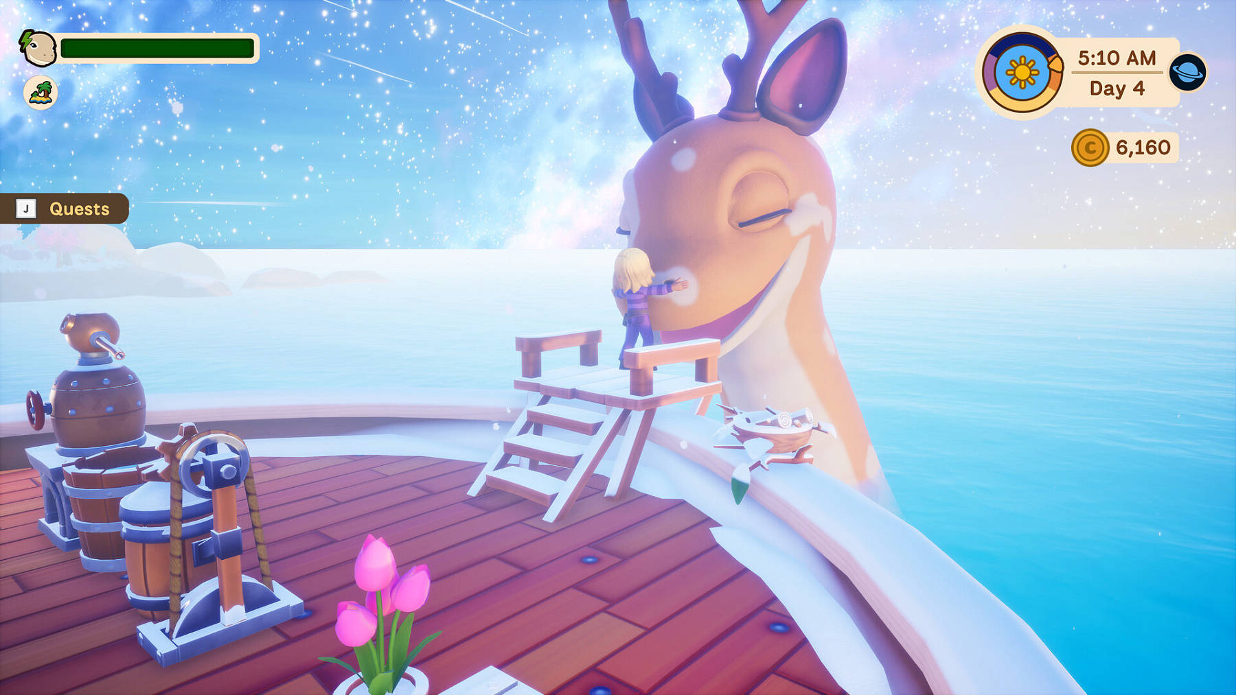 Collector's Cove