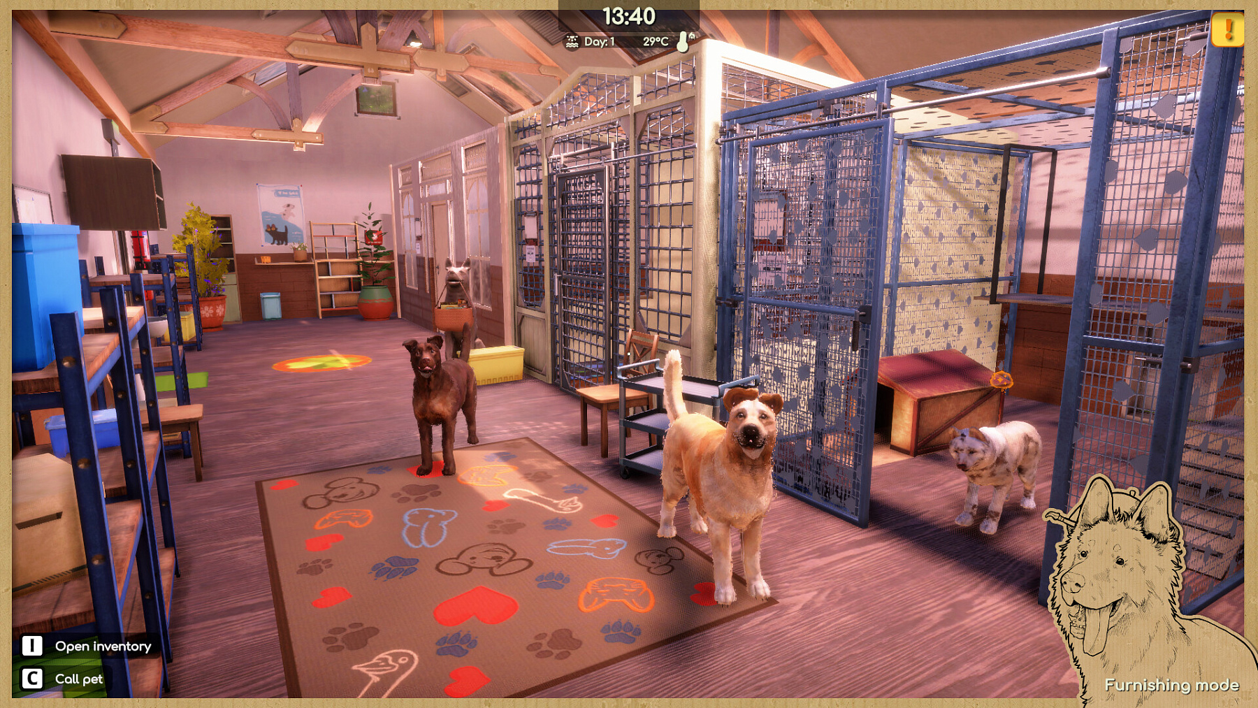 Animal Shelter 2